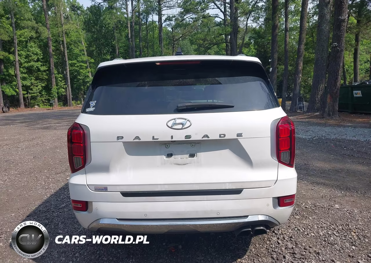 2020 Hyundai Palisade Limited VIN:KM8R54HE8LU149877 - 17