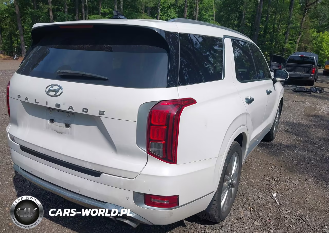 2020 Hyundai Palisade Limited VIN:KM8R54HE8LU149877 - 4