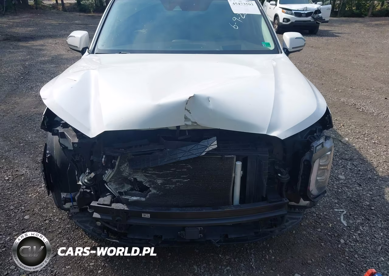 2020 Hyundai Palisade Limited VIN:KM8R54HE8LU149877 - 6