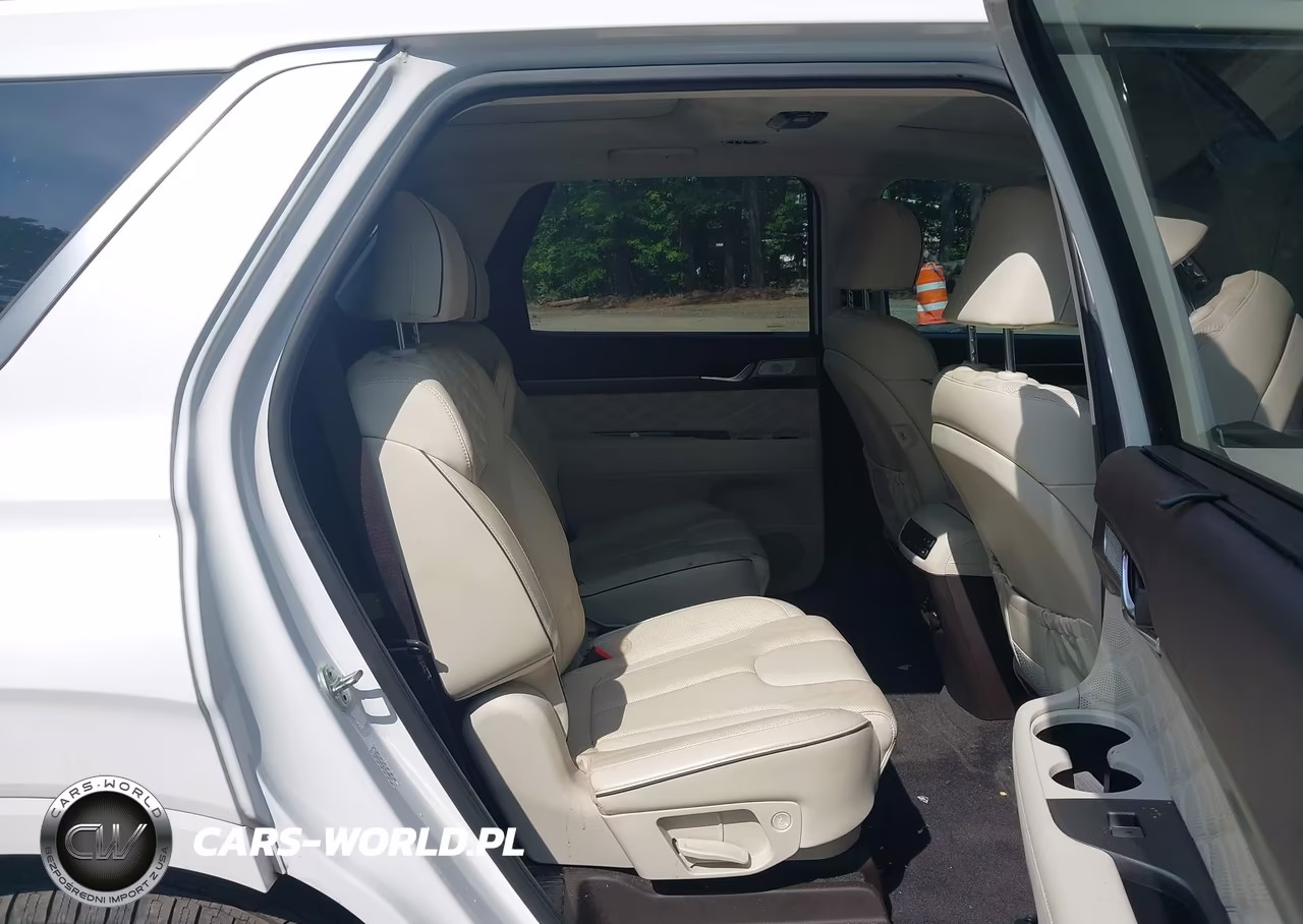 2020 Hyundai Palisade Limited VIN:KM8R54HE8LU149877 - 8