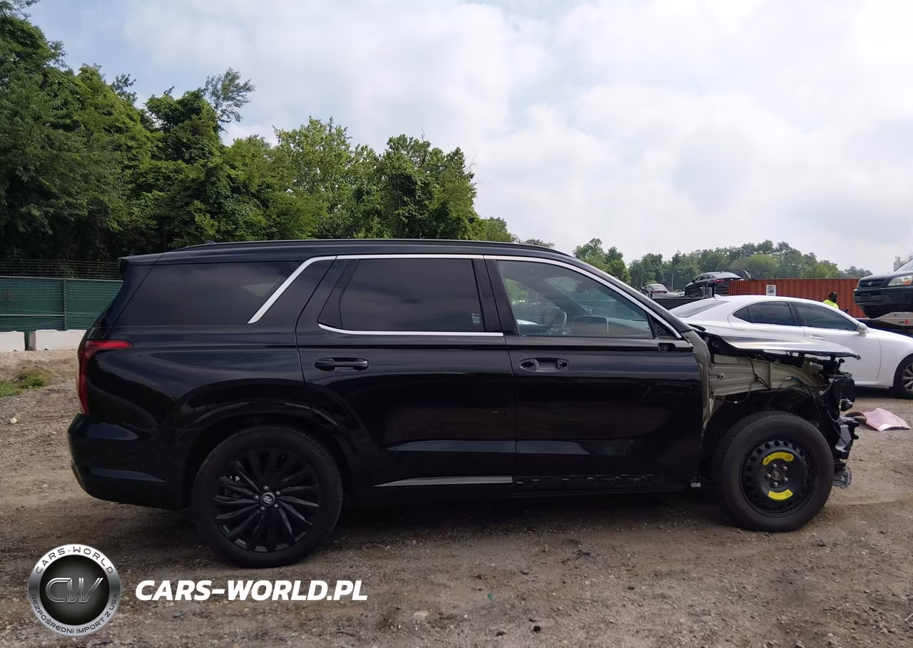 2025 Hyundai Palisade Calligraphy Night Edition VIN:KM8R7DGE0SU954735 - 14