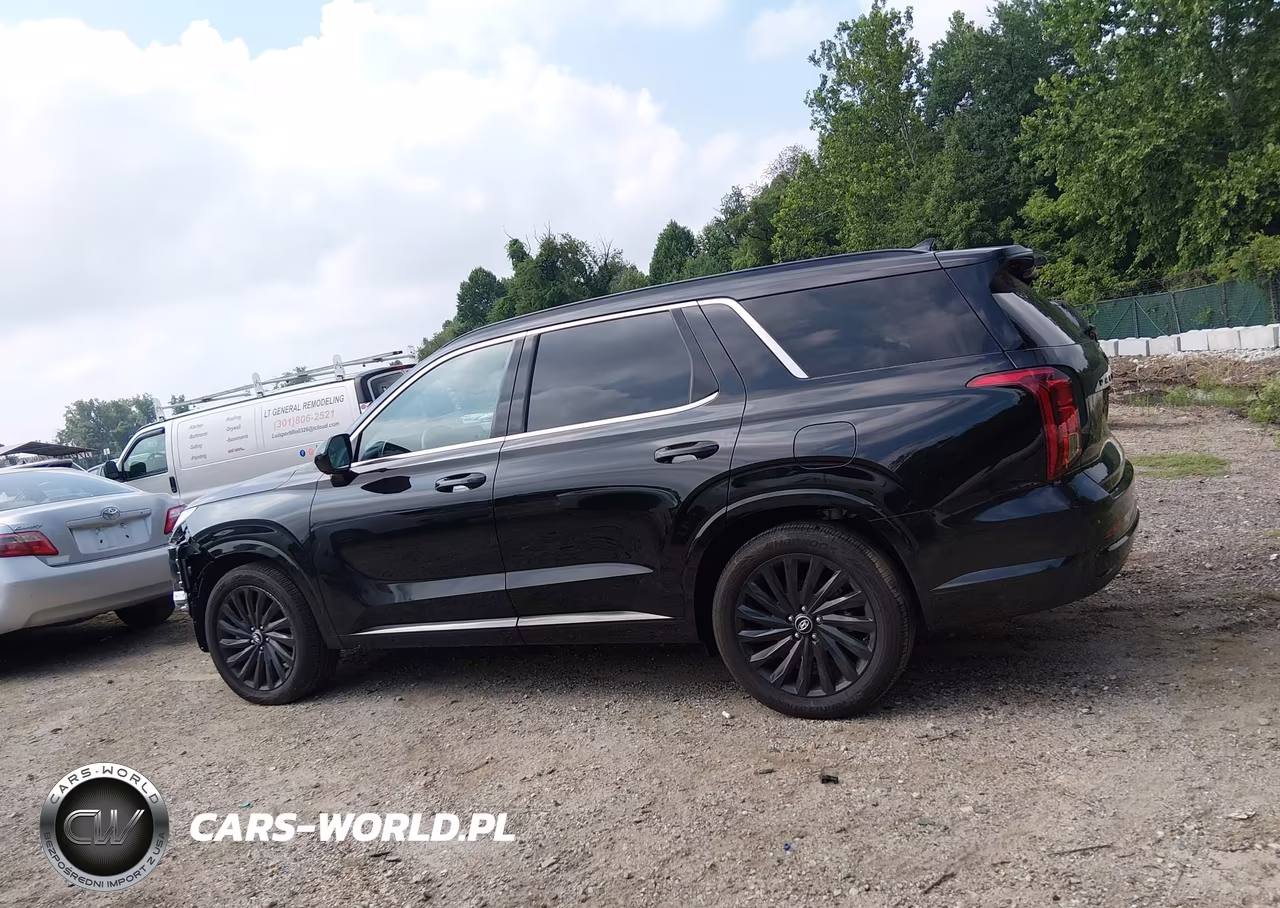 2025 Hyundai Palisade Calligraphy Night Edition VIN:KM8R7DGE0SU954735 - 15