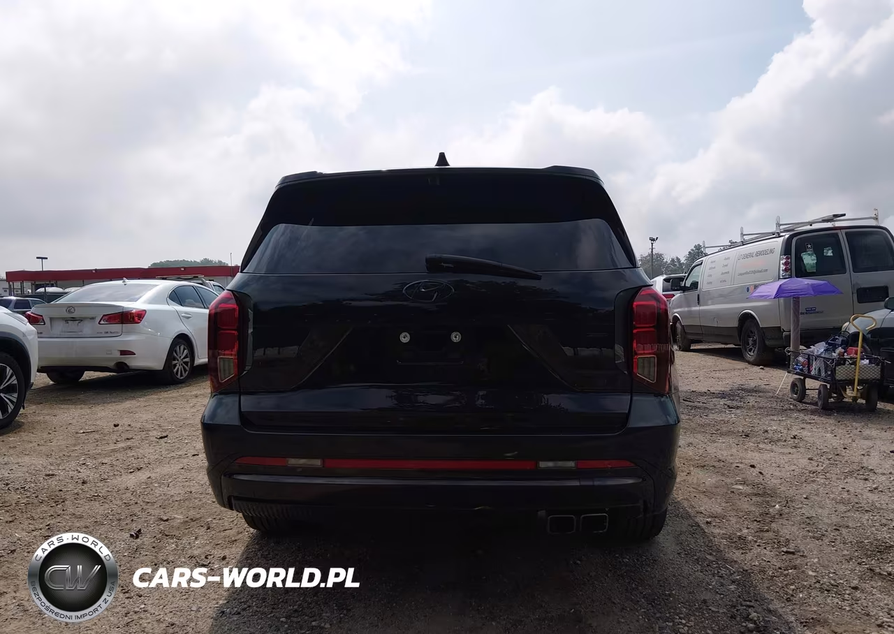 2025 Hyundai Palisade Calligraphy Night Edition VIN:KM8R7DGE0SU954735 - 17