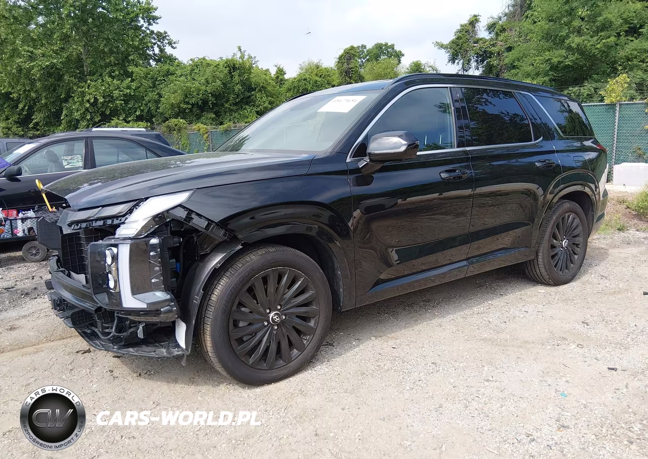 2025 Hyundai Palisade Calligraphy Night Edition VIN:KM8R7DGE0SU954735 - 2