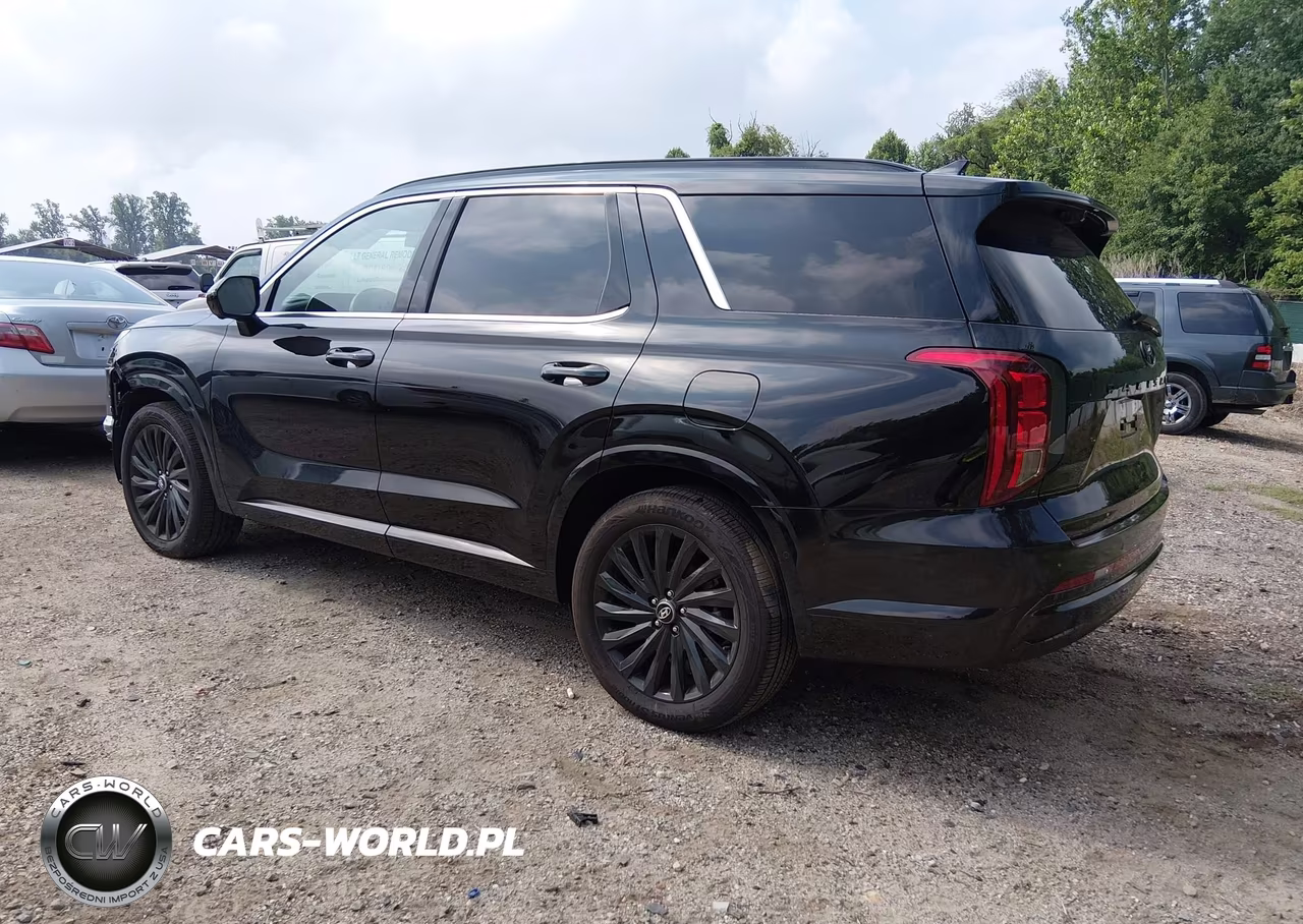 2025 Hyundai Palisade Calligraphy Night Edition VIN:KM8R7DGE0SU954735 - 3