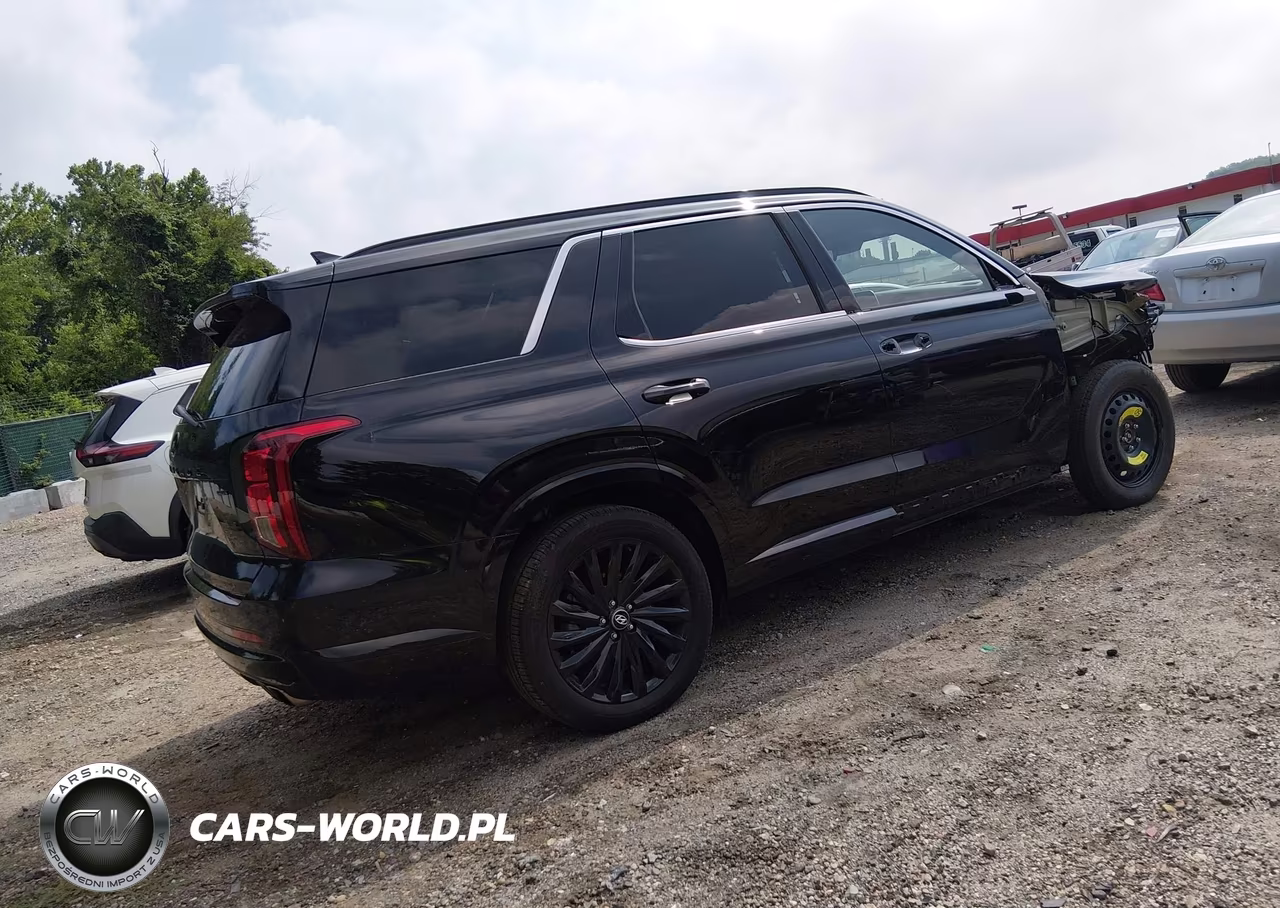 2025 Hyundai Palisade Calligraphy Night Edition VIN:KM8R7DGE0SU954735 - 4