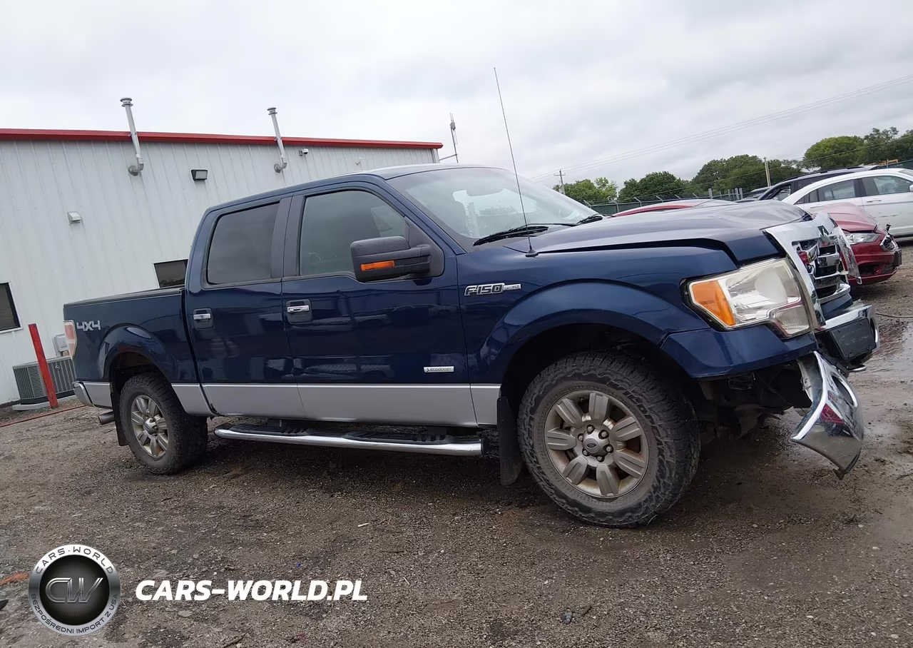 2012 Ford F-150 Fx4-King Ranch-Lariat-Platinum-Xl-Xlt VIN:1FTFW1ET9CFB42821 - 13