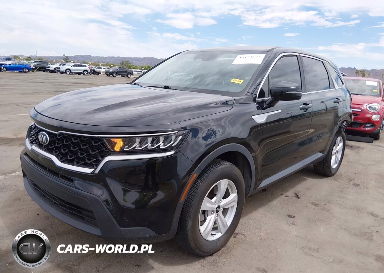 2021 Kia Sorento Lx VIN:5XYRGDLC6MG044813 - 2