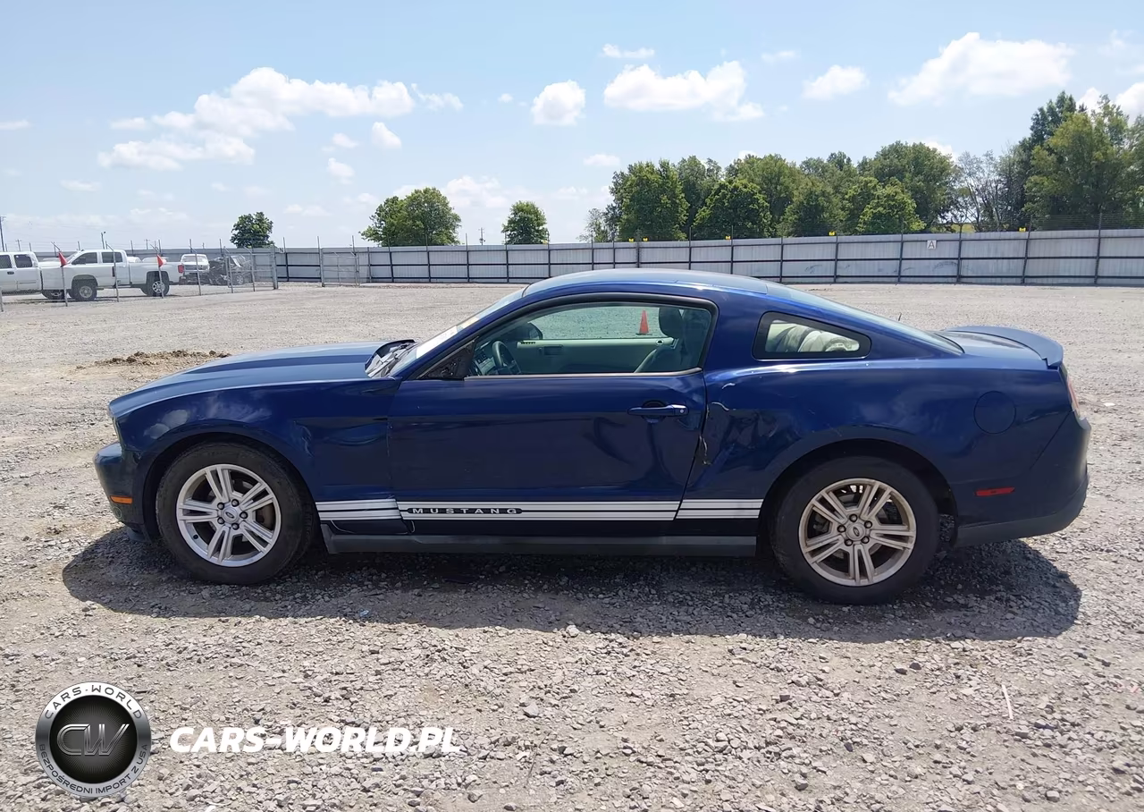 2010 Ford Mustang V6-V6 Premium VIN:1ZVBP8AN9A5130924 - 15