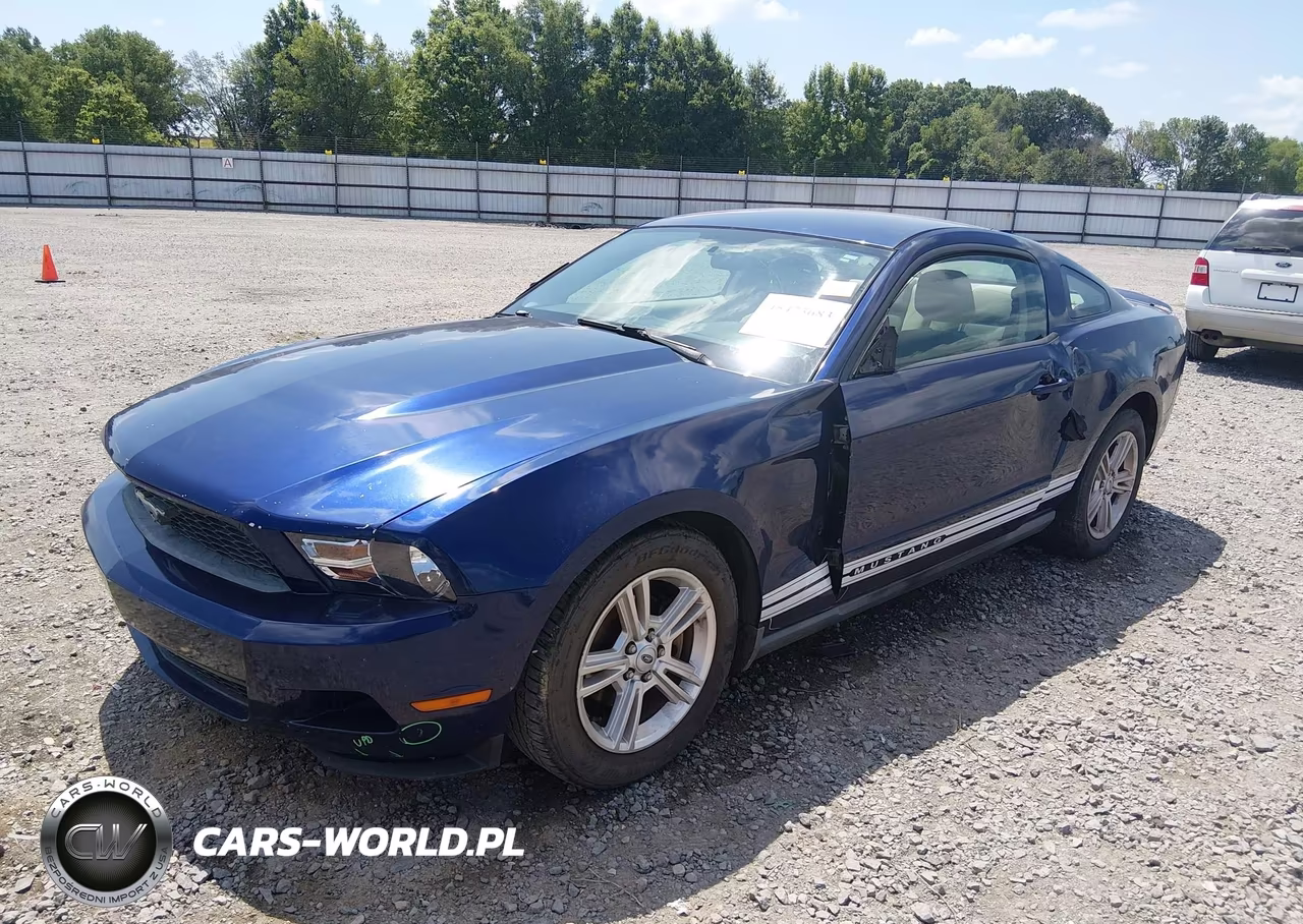 2010 Ford Mustang V6-V6 Premium VIN:1ZVBP8AN9A5130924 - 2