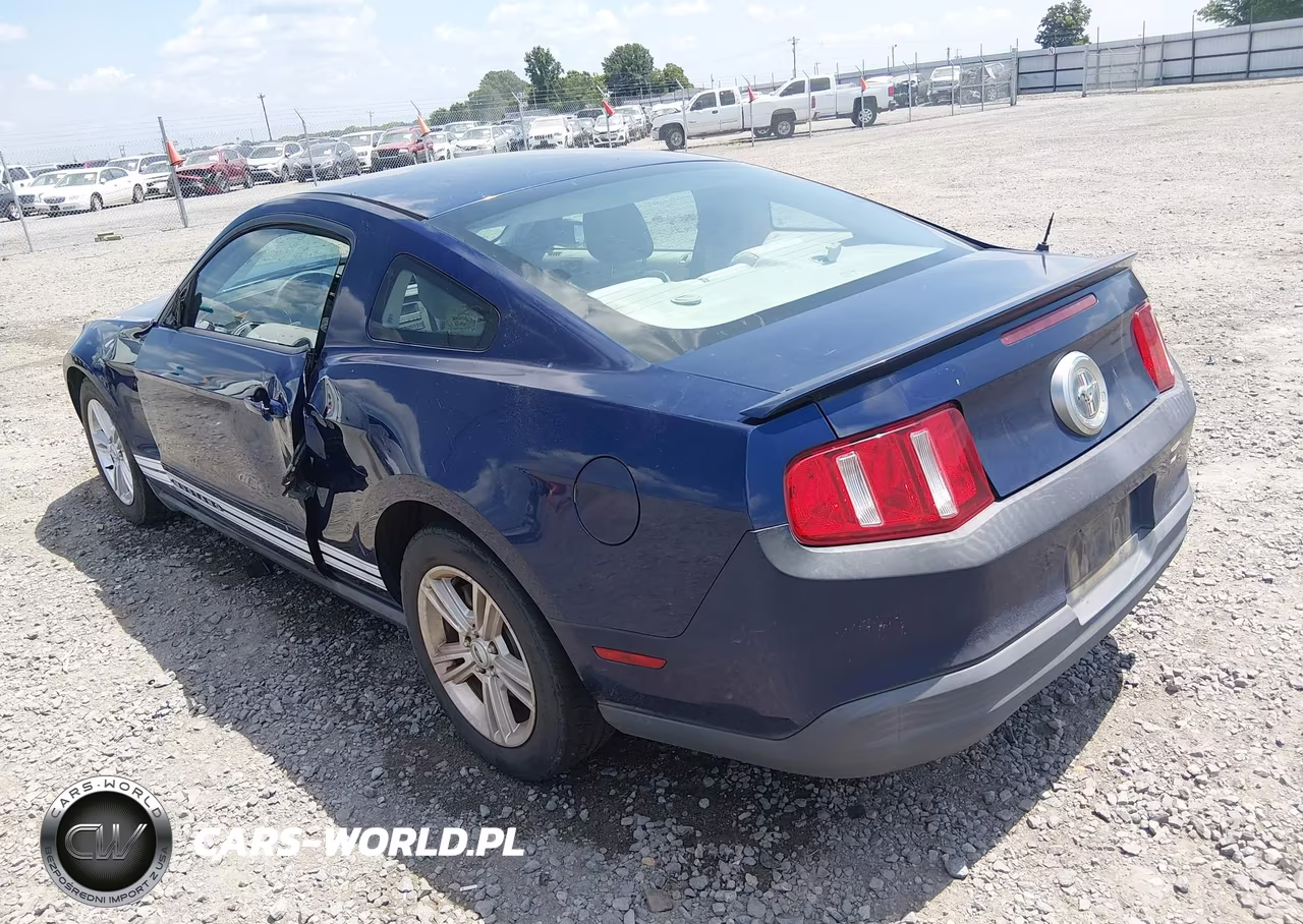 2010 Ford Mustang V6-V6 Premium VIN:1ZVBP8AN9A5130924 - 3