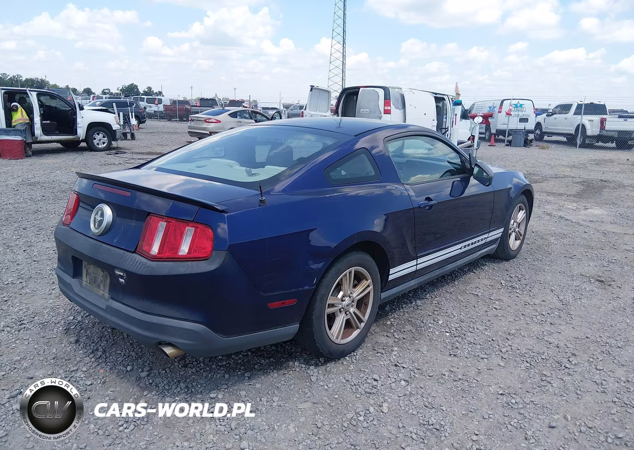 2010 Ford Mustang V6-V6 Premium VIN:1ZVBP8AN9A5130924 - 4