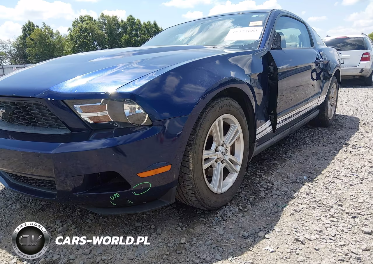 2010 Ford Mustang V6-V6 Premium VIN:1ZVBP8AN9A5130924 - 6