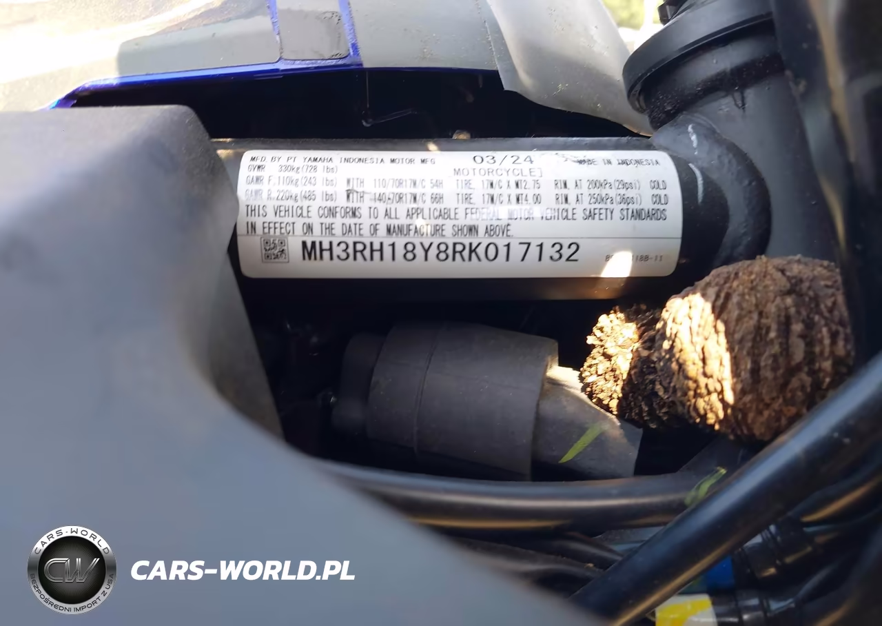 2024 Yamaha Yzfr3 A VIN:MH3RH18Y8RK017132 - 10