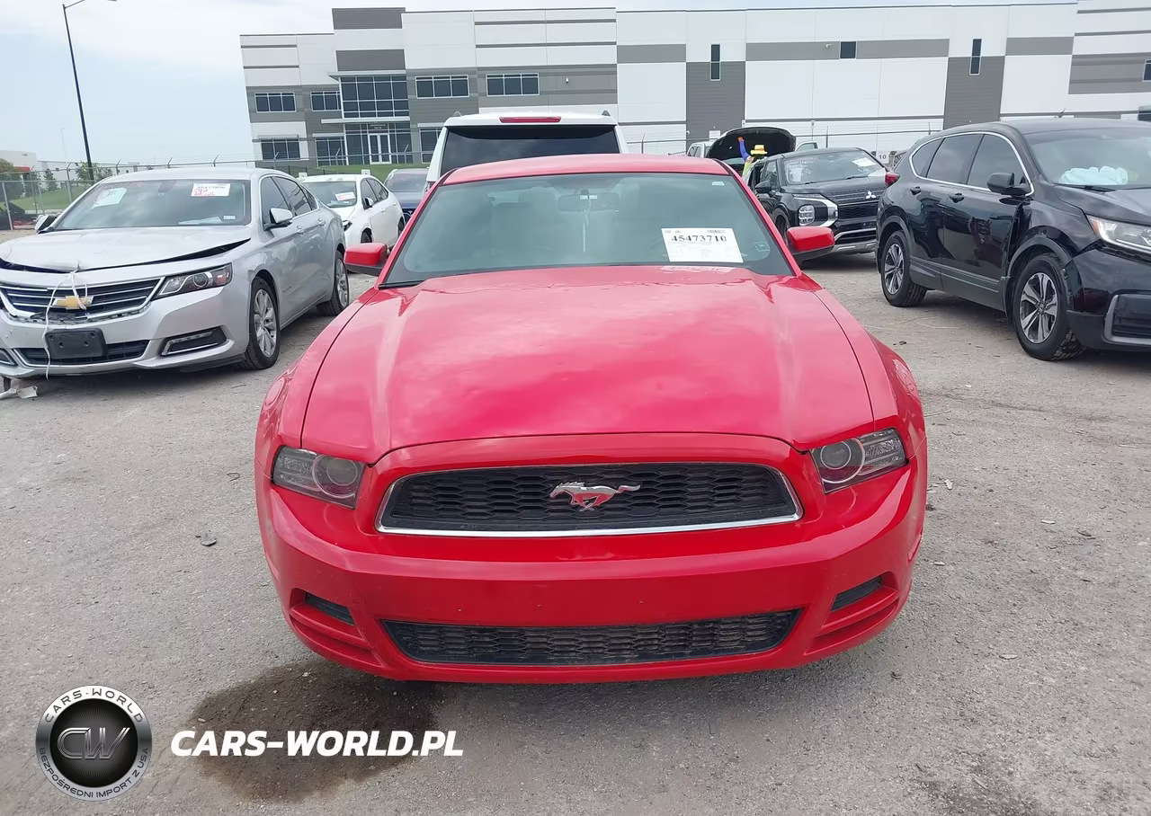 2013 Ford Mustang V6-V6 Premium VIN:1ZVBP8AM4D5227623 - 12