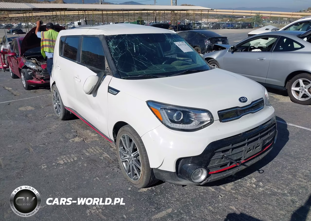 2019 Kia Soul !