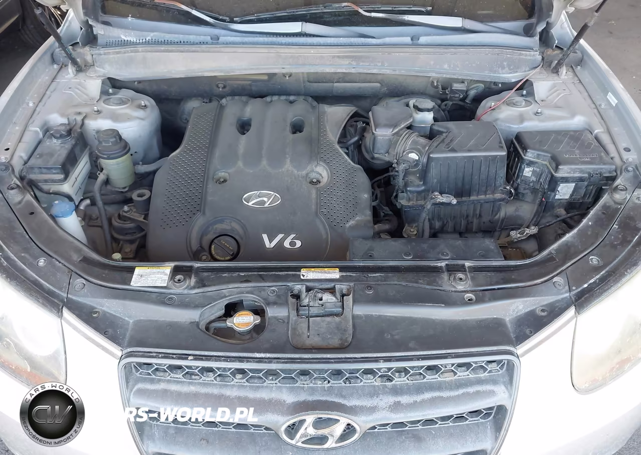 2008 Hyundai Santa Fe Gls VIN:5NMSG13D28H129703 - 10