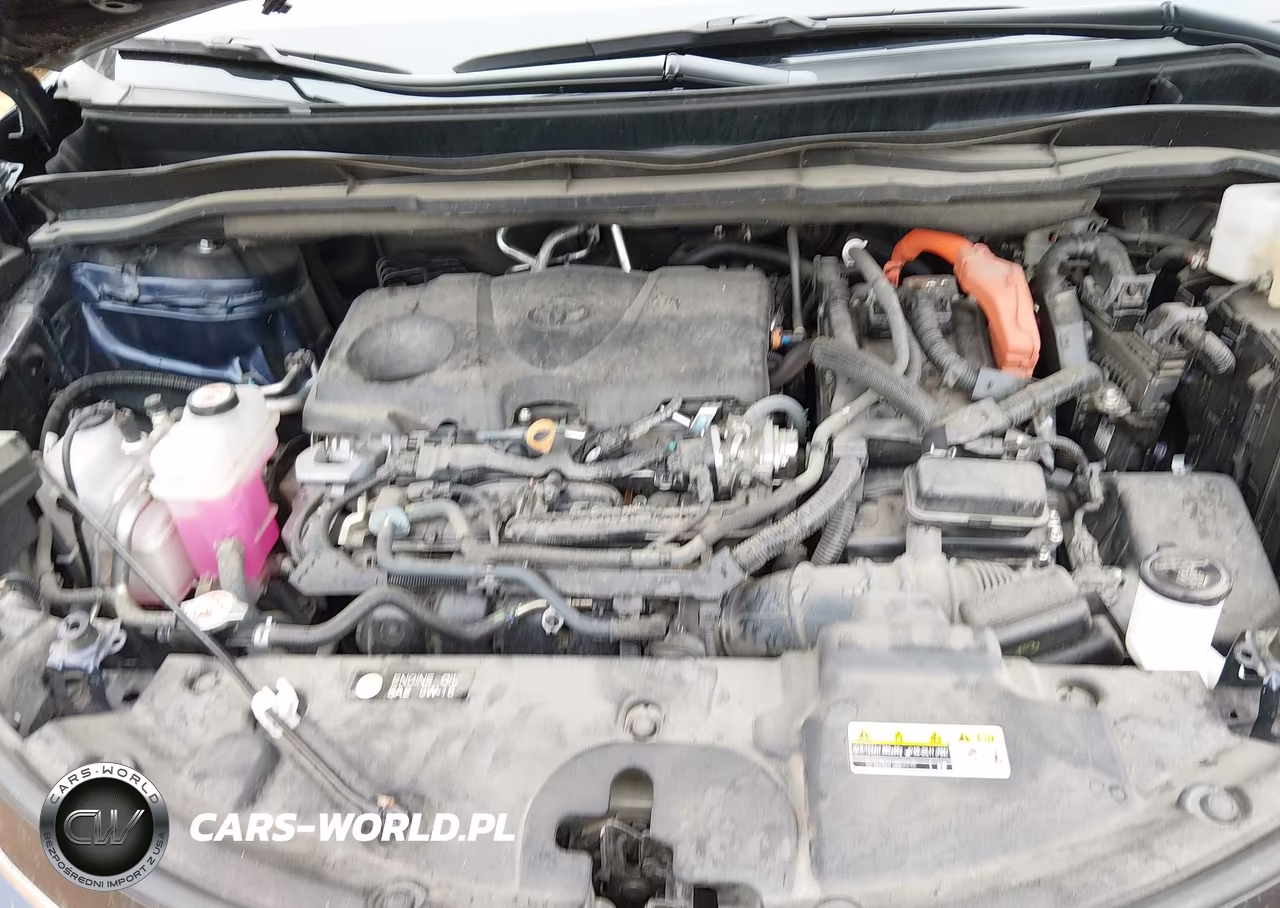 2024 Toyota Sienna Xle VIN:5TDJSKFC3RS119344 - 10