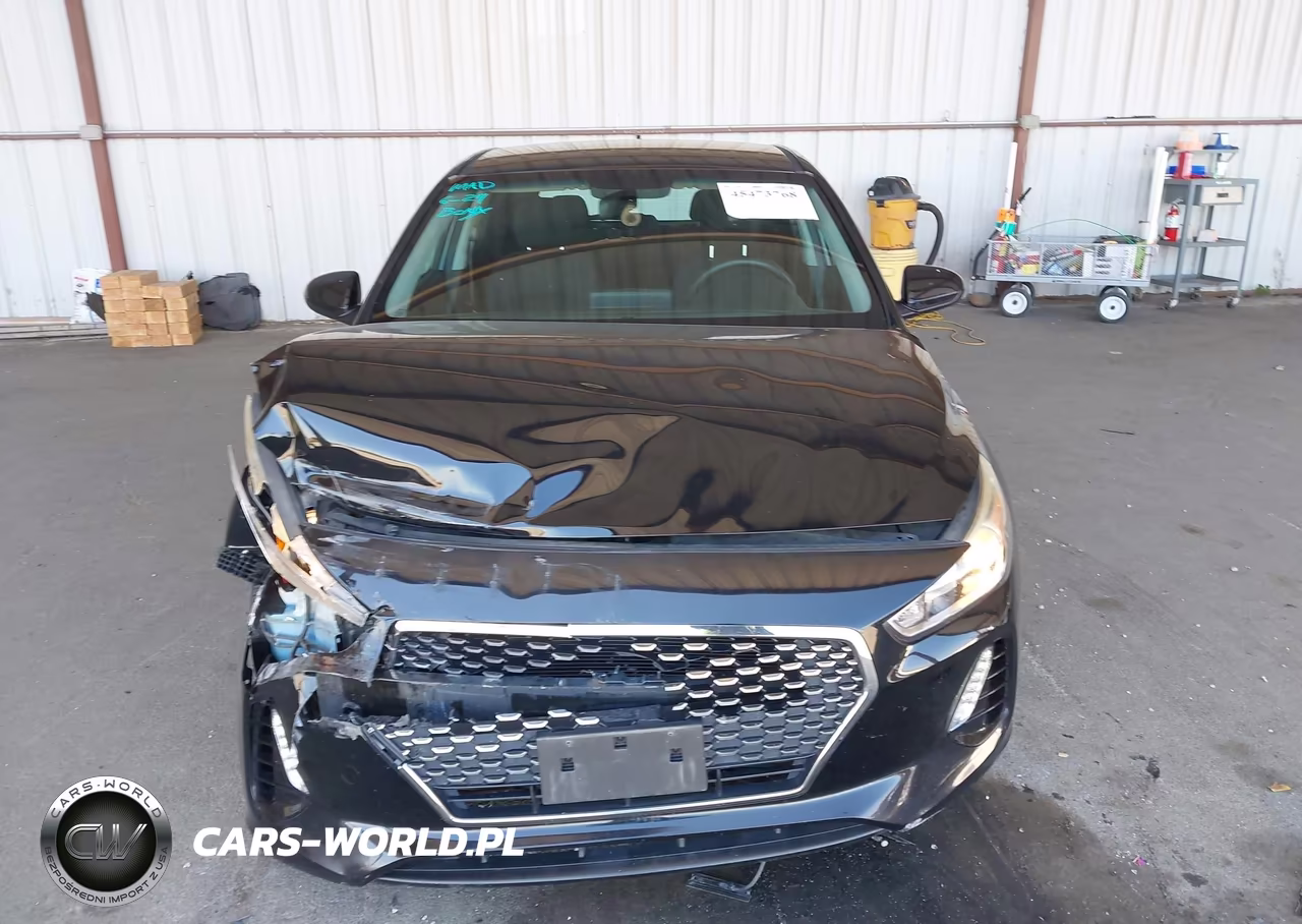 2018 Hyundai Elantra Gt VIN:KMHH35LE8JU013275 - 12