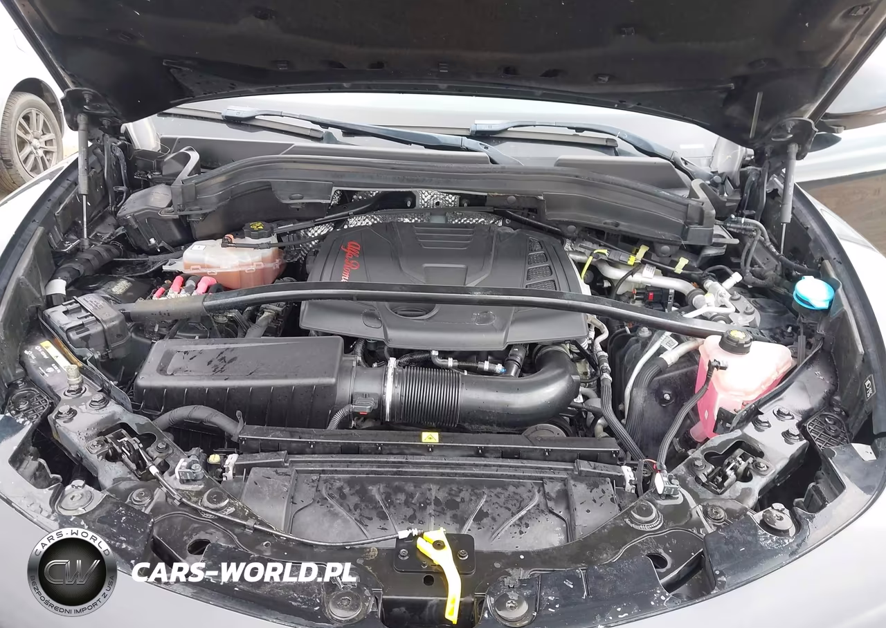 2019 ALFA ROMEO STELVIO TI SPORT AWD VIN:ZASPAKBN3K7C71569 - 10