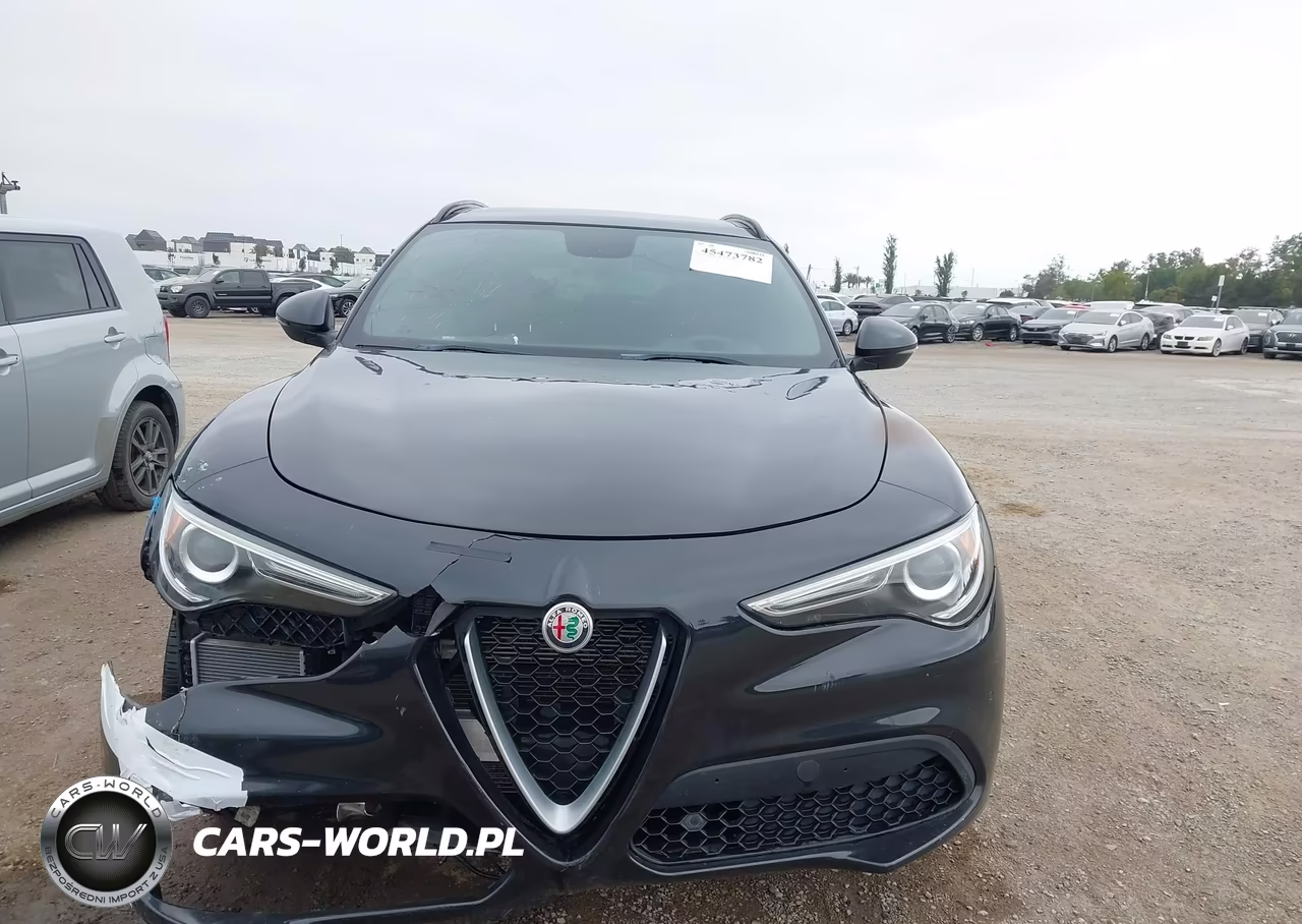 2019 ALFA ROMEO STELVIO TI SPORT AWD VIN:ZASPAKBN3K7C71569 - 12