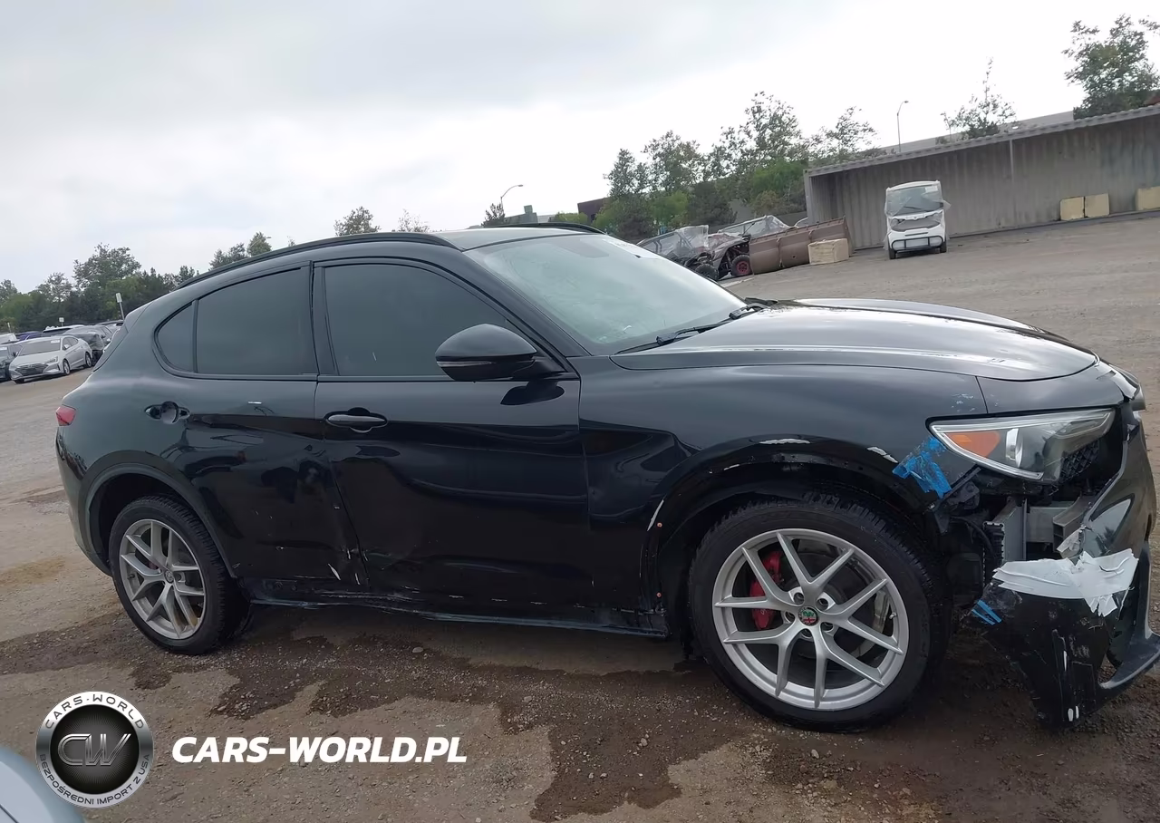 2019 ALFA ROMEO STELVIO TI SPORT AWD VIN:ZASPAKBN3K7C71569 - 13