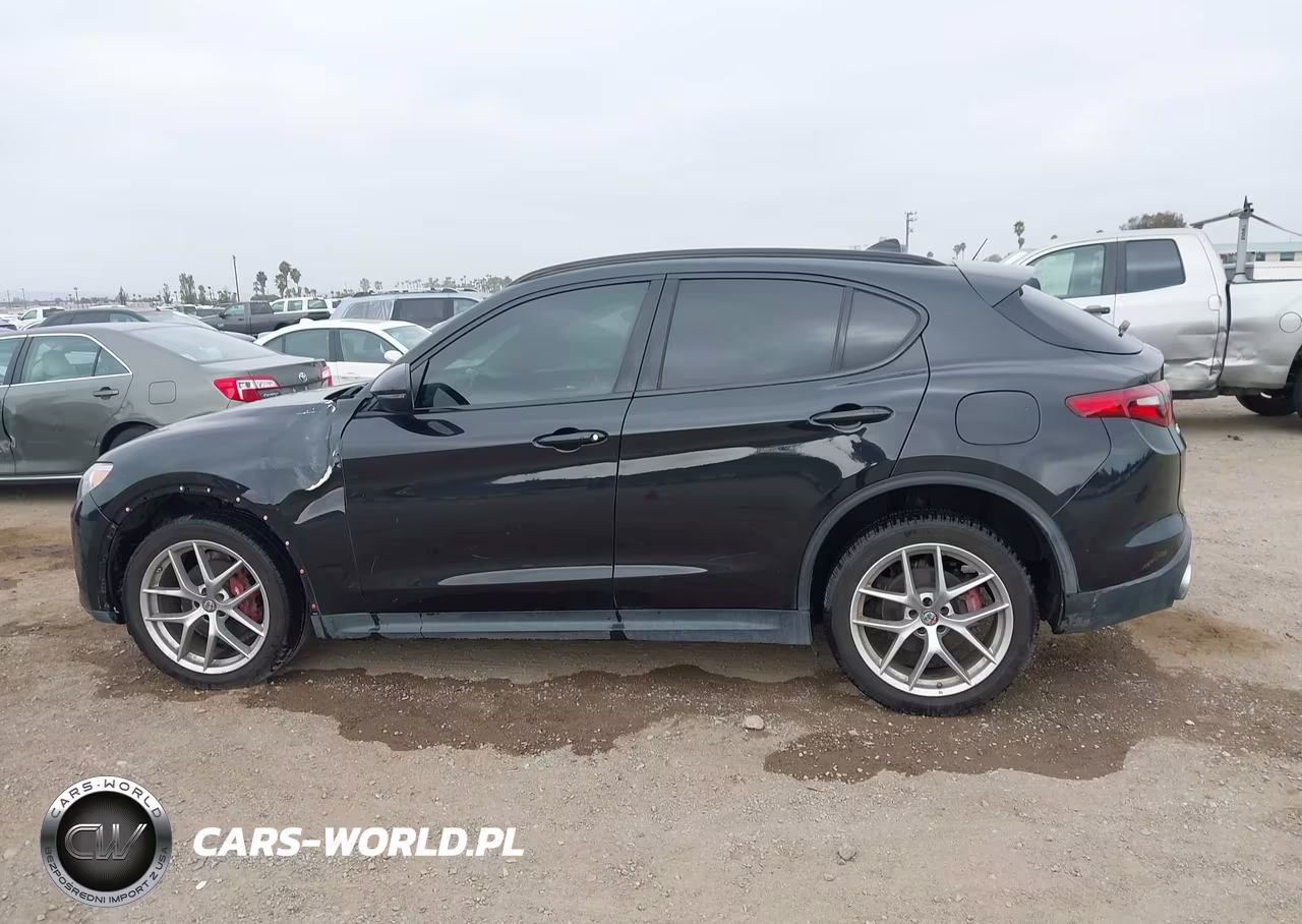 2019 ALFA ROMEO STELVIO TI SPORT AWD VIN:ZASPAKBN3K7C71569 - 14