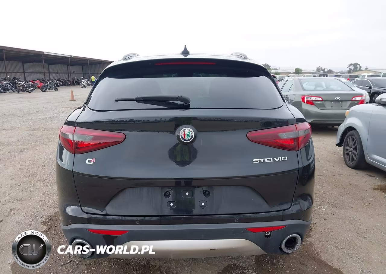 2019 ALFA ROMEO STELVIO TI SPORT AWD VIN:ZASPAKBN3K7C71569 - 16
