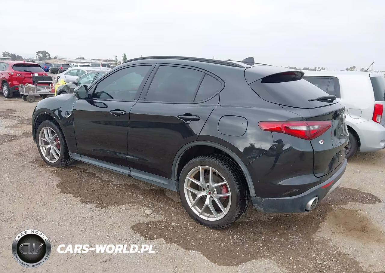 2019 ALFA ROMEO STELVIO TI SPORT AWD VIN:ZASPAKBN3K7C71569 - 3