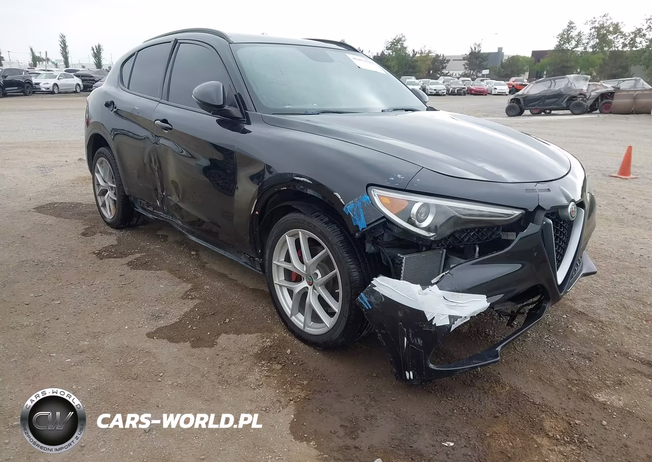 2019 ALFA ROMEO STELVIO TI SPORT AWD VIN:ZASPAKBN3K7C71569 - 6