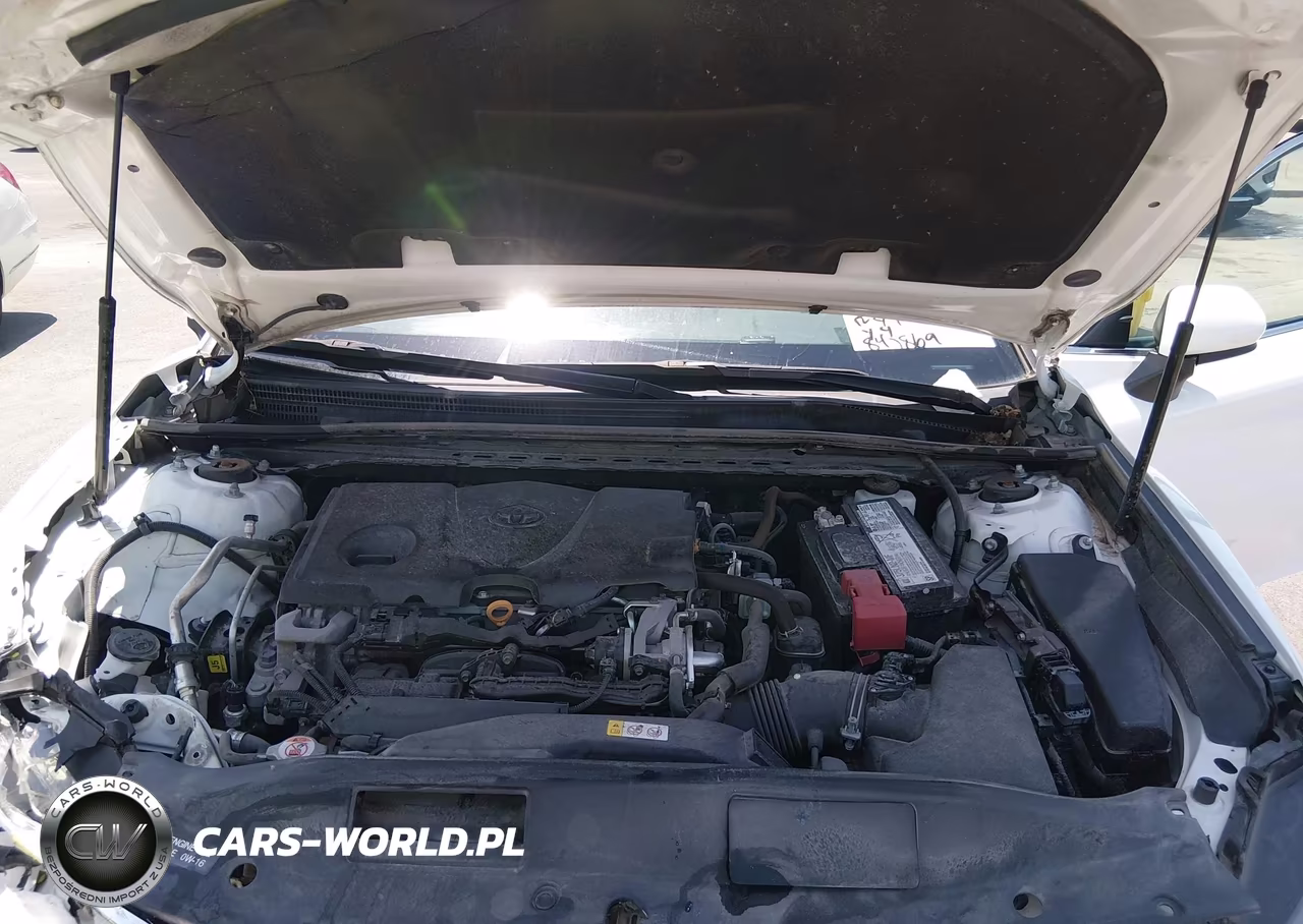 2020 Toyota Camry Le VIN:4T1C11AK0LU956796 - 10