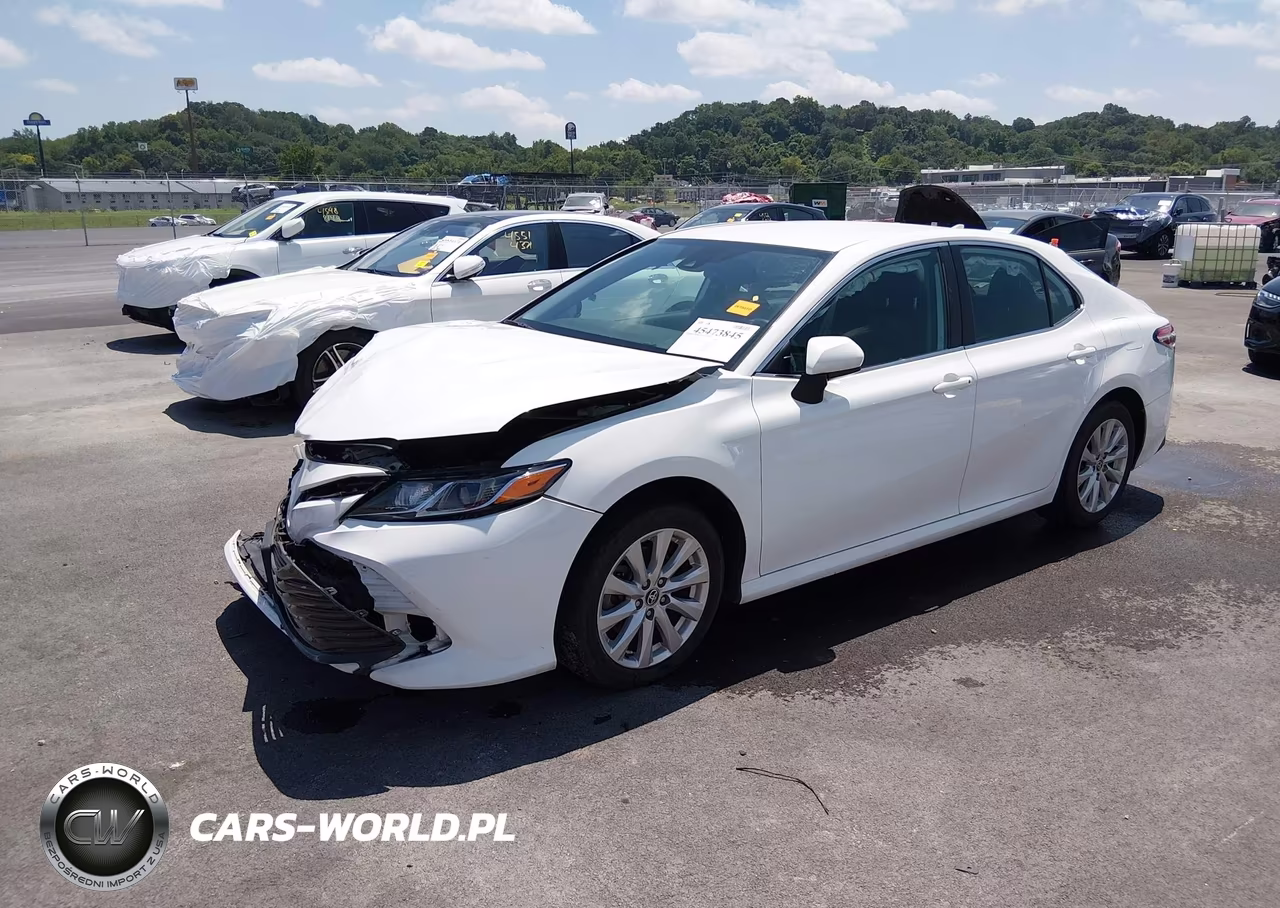 2020 Toyota Camry Le VIN:4T1C11AK0LU956796 - 2