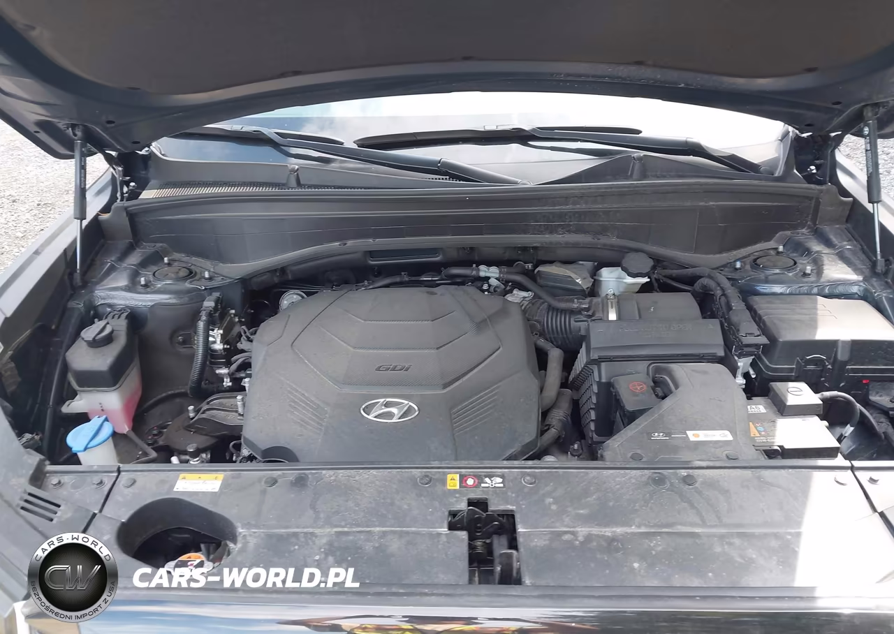 2024 Hyundai Palisade Sel VIN:KM8R24GE1RU791201 - 10