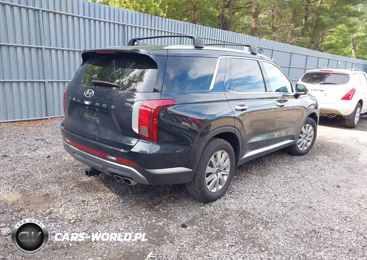 2024 Hyundai Palisade Sel VIN:KM8R24GE1RU791201 - 4