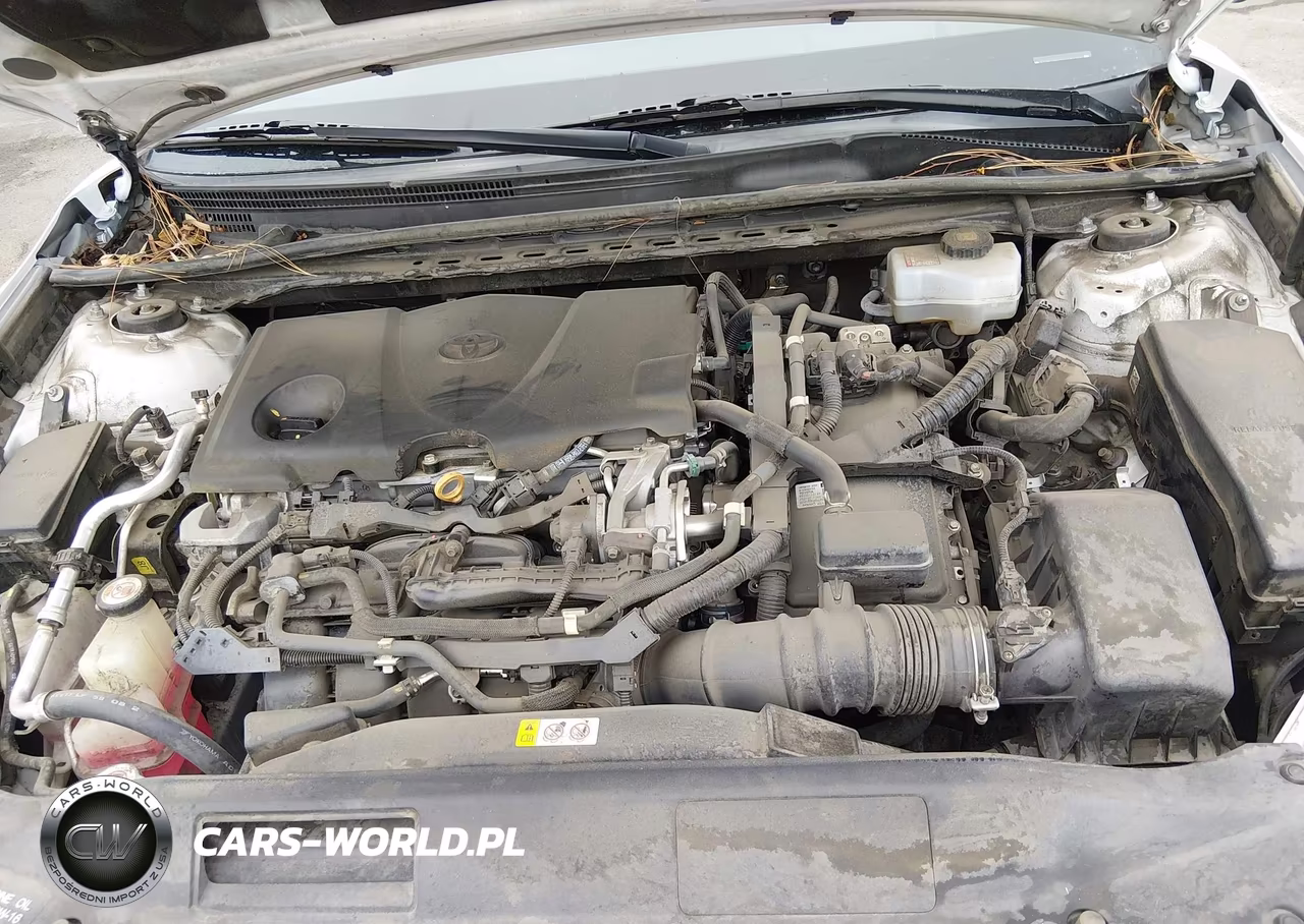 2019 Toyota Camry Hybrid Xle VIN:4T1B21HK1KU512159 - 10
