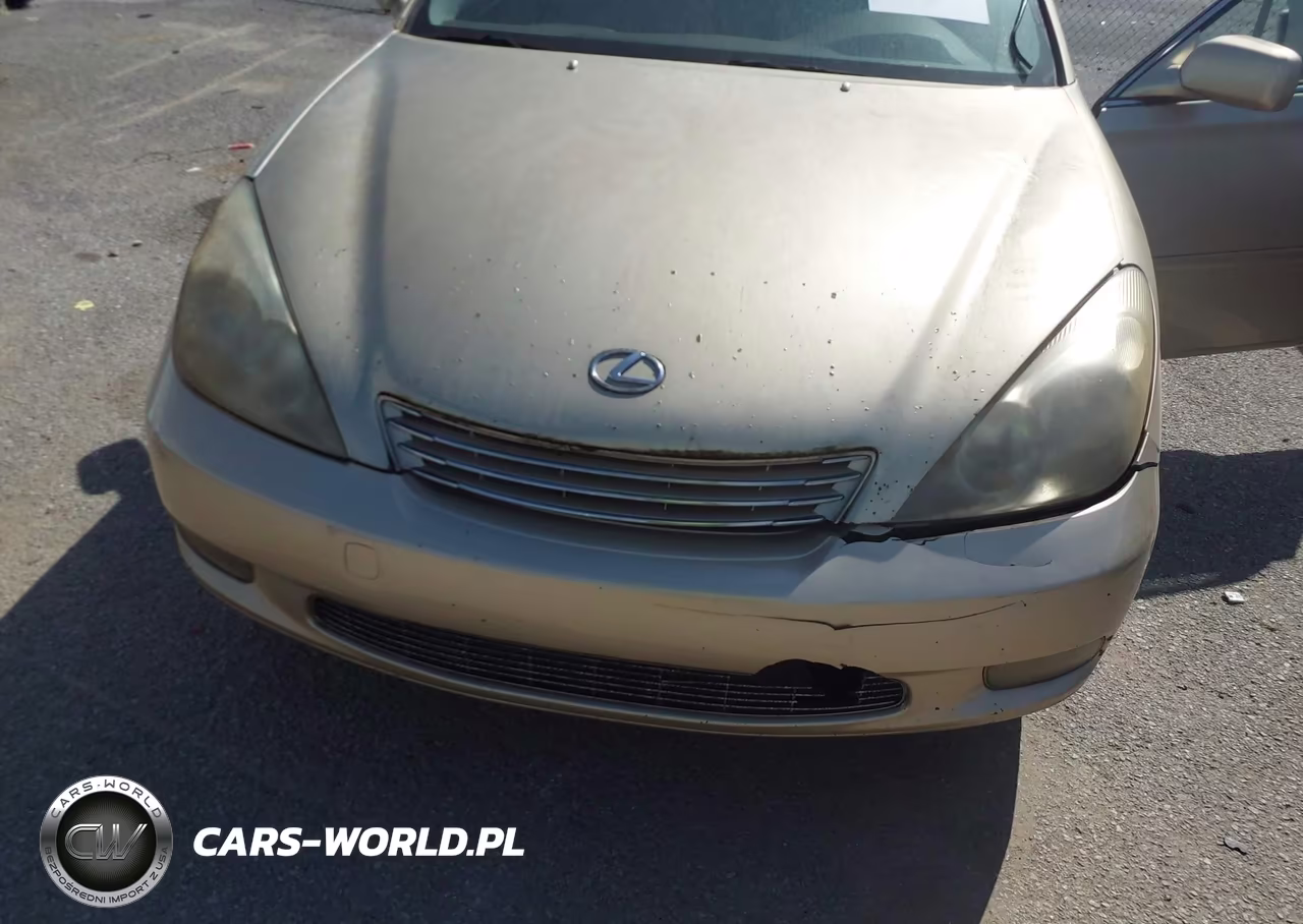 2004 Lexus Es 330 VIN:JTHBA30G245032797 - 6