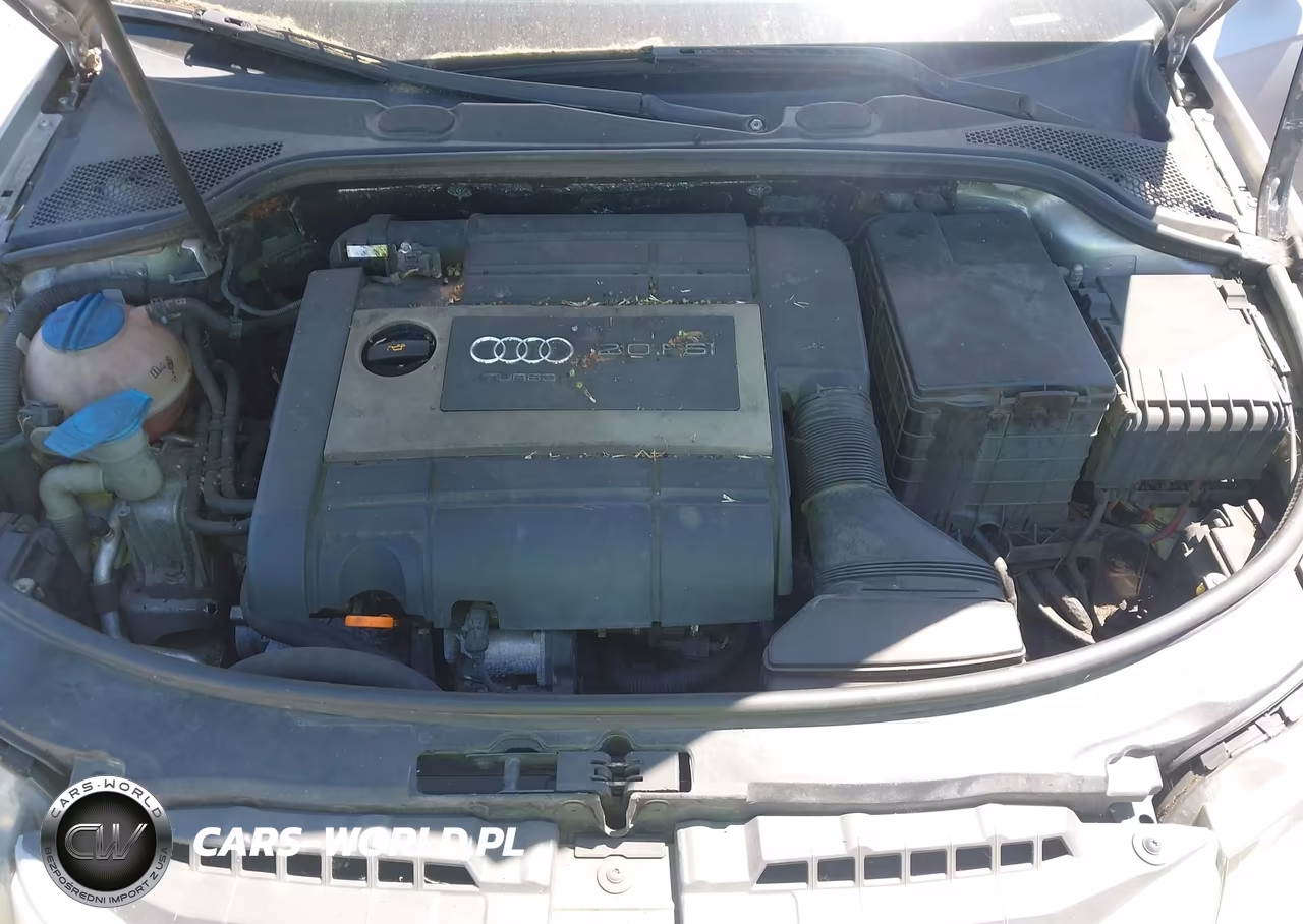2006 Audi A3 2.0T VIN:WAUMF78P96A006230 - 10