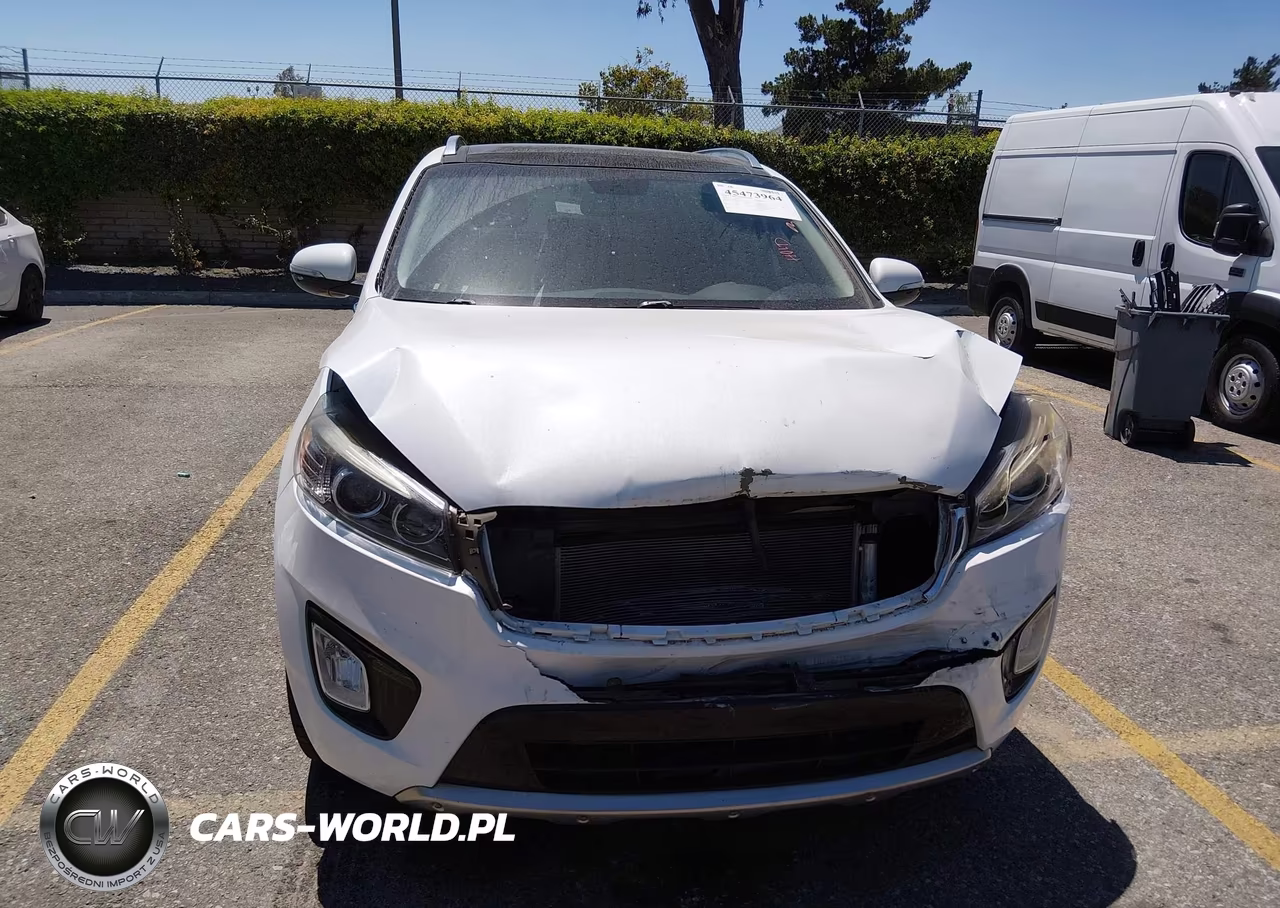 2016 Kia Sorento 3.3L Sx VIN:5XYPK4A58GG117243 - 12