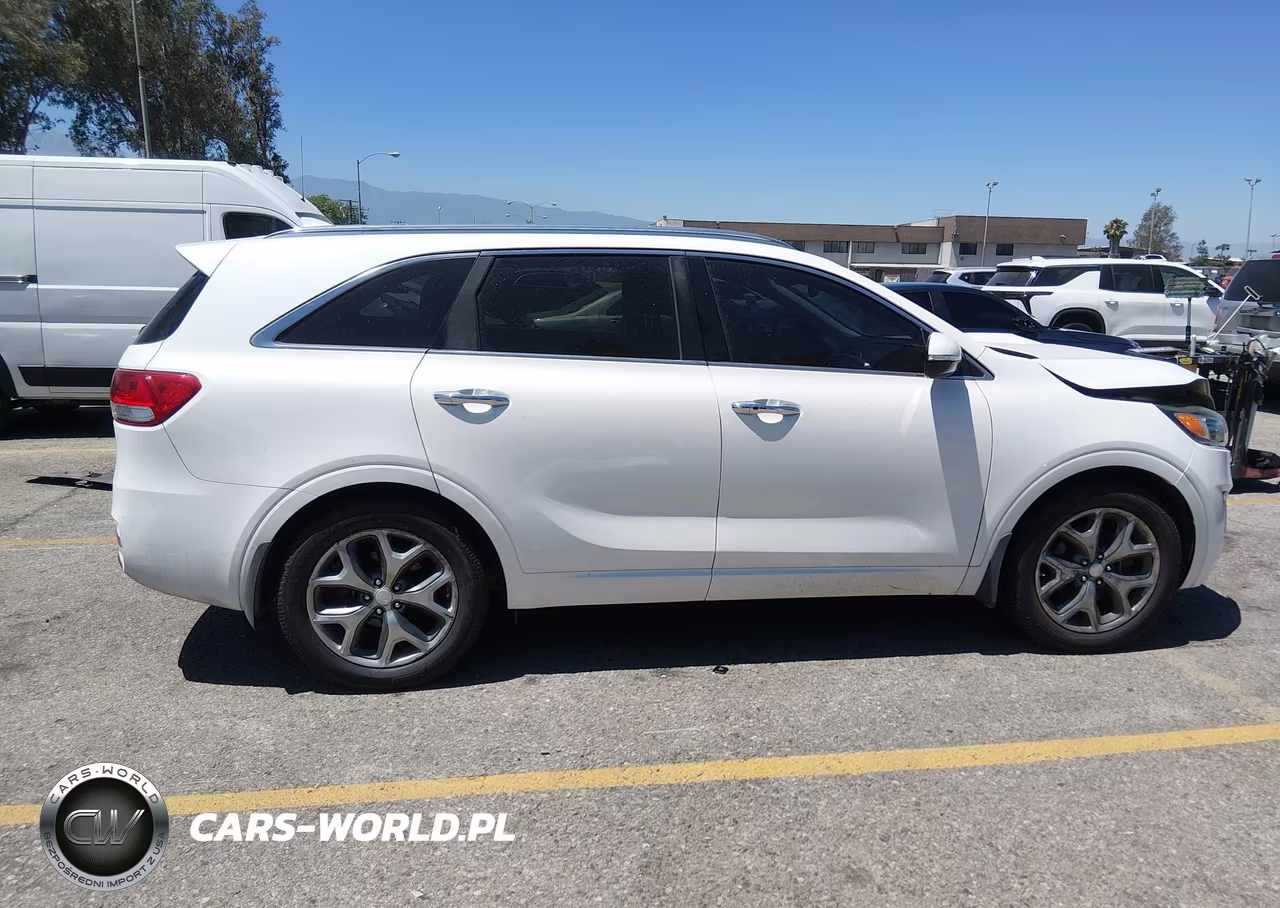 2016 Kia Sorento 3.3L Sx VIN:5XYPK4A58GG117243 - 13