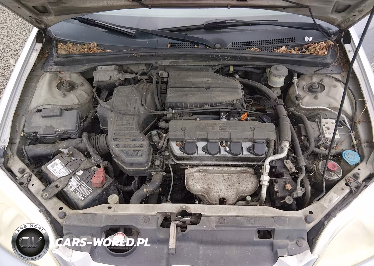 2003 Honda Civic Ex VIN:1HGEM22023L062491 - 10