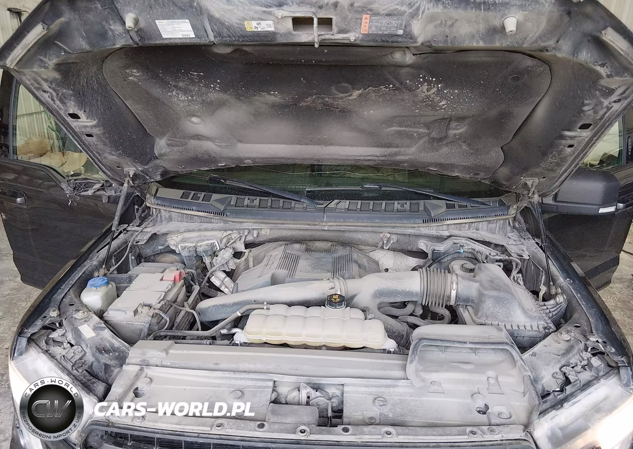 2019 Ford F-150 Xlt VIN:1FTFW1E48KFB18193 - 10