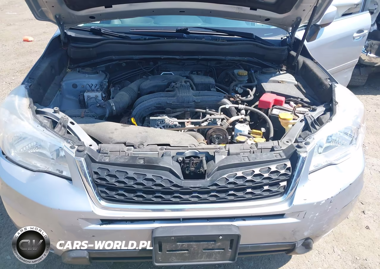 2015 Subaru Forester 2.5I Limited VIN:JF2SJAKC6FH498350 - 10