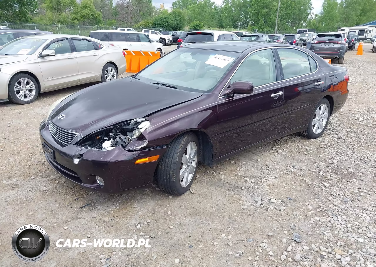 2005 Lexus Es 330 VIN:JTHBA30G755072438 - 2