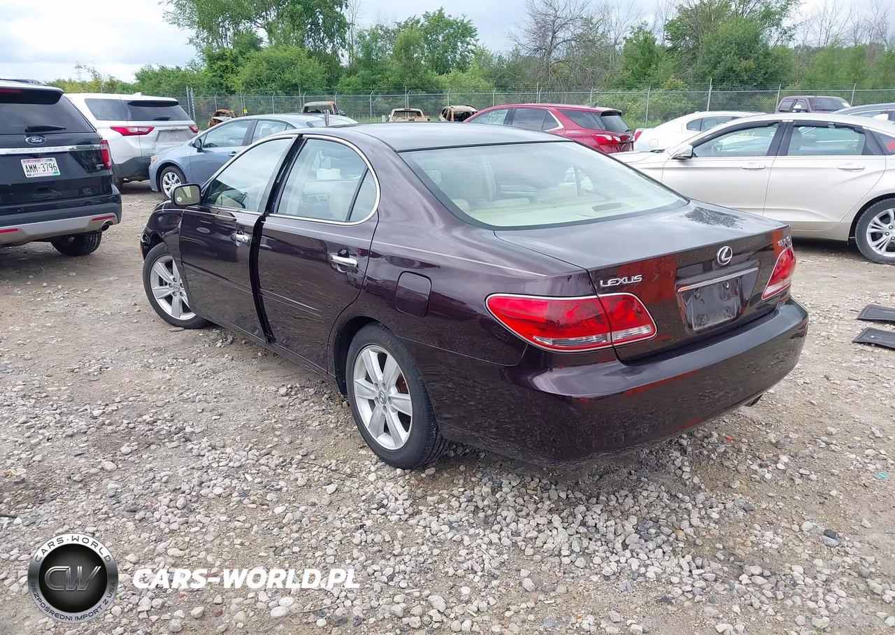 2005 Lexus Es 330 VIN:JTHBA30G755072438 - 3