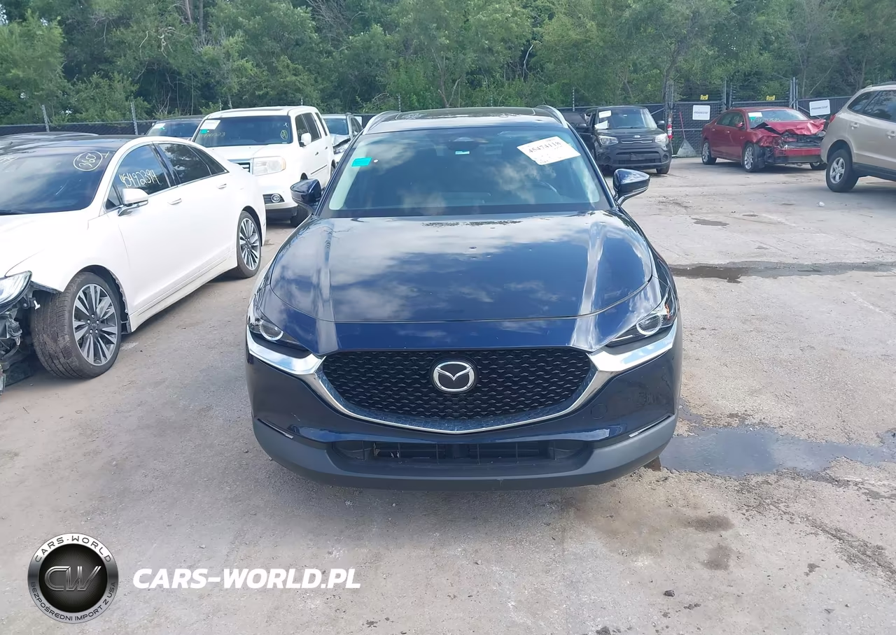 2024 Mazda Cx-30 2.5 S Preferred Package VIN:3MVDMBCM1RM714812 - 12