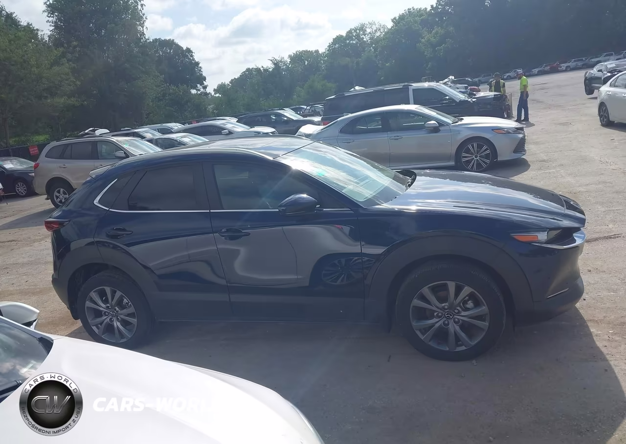 2024 Mazda Cx-30 2.5 S Preferred Package VIN:3MVDMBCM1RM714812 - 13