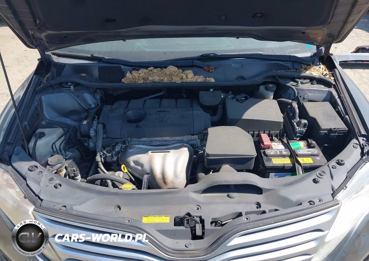 2010 Toyota Venza VIN:4T3ZA3BB3AU036881 - 10