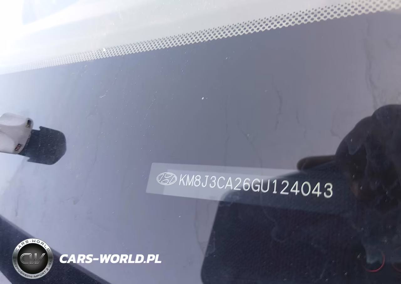 2016 Hyundai Tucson Limited VIN:KM8J3CA26GU124043 - 9
