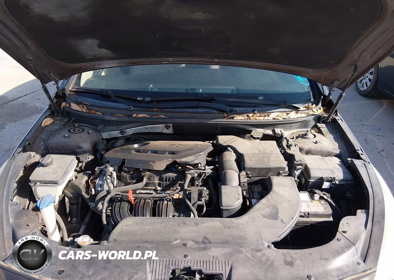2015 Hyundai Sonata Se VIN:5NPE24AF2FH155915 - 10