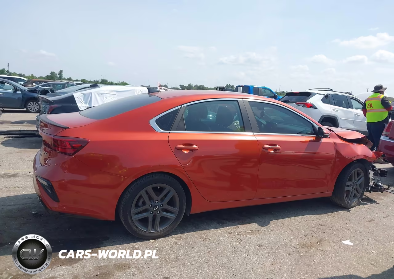 2019 Kia Forte Ex VIN:3KPF54AD6KE084808 - 13